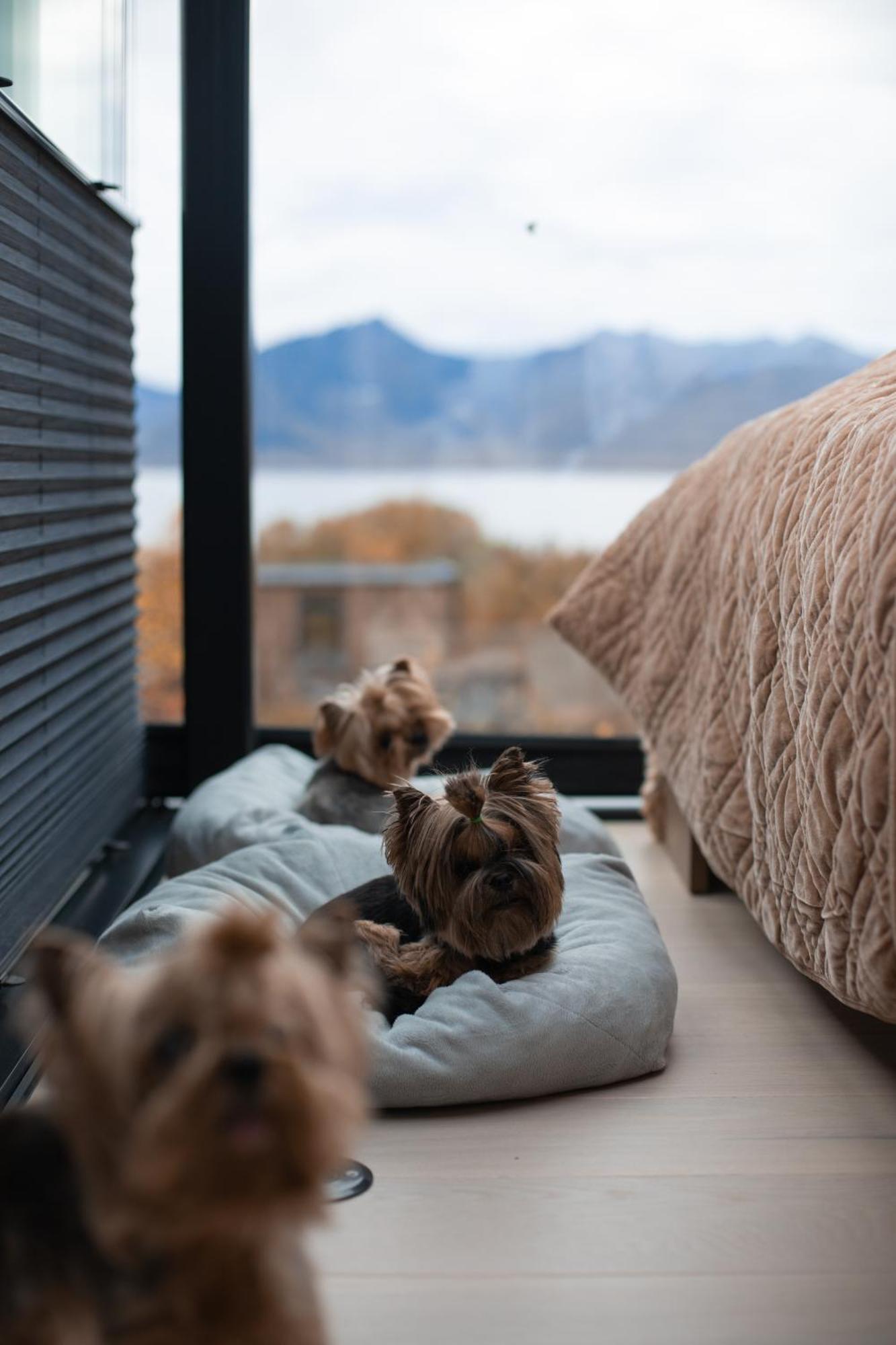 Wonderinn Arctic Utstrand Luaran gambar